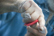 windshield replacement